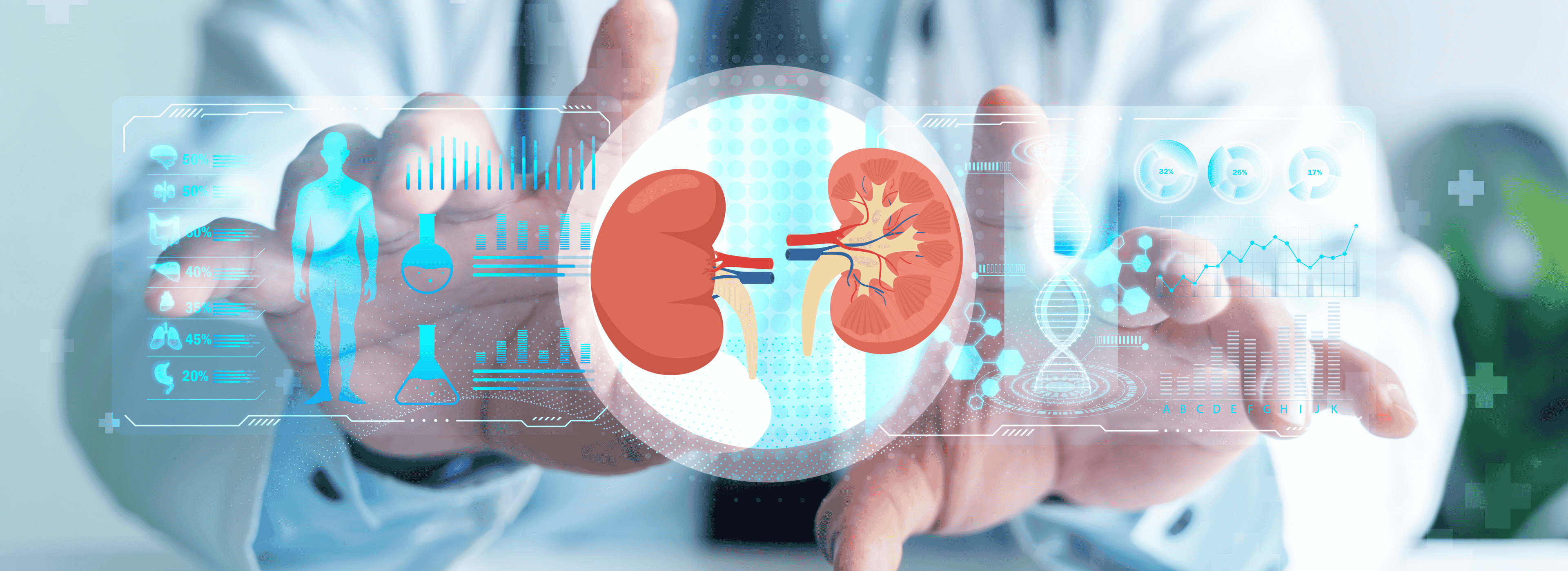 HY-FOLIC®: Demonstrating Superior Folate Bioavailability vs Folic Acid