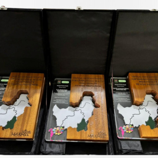 Plakat POGI KALSEL.jpg